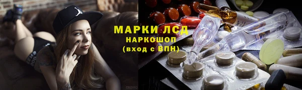 a pvp Бородино