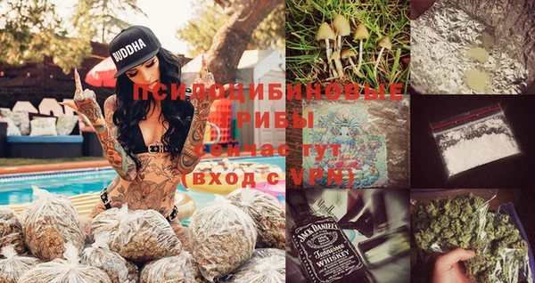 a pvp Бородино