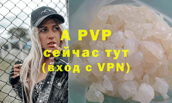a pvp Бородино